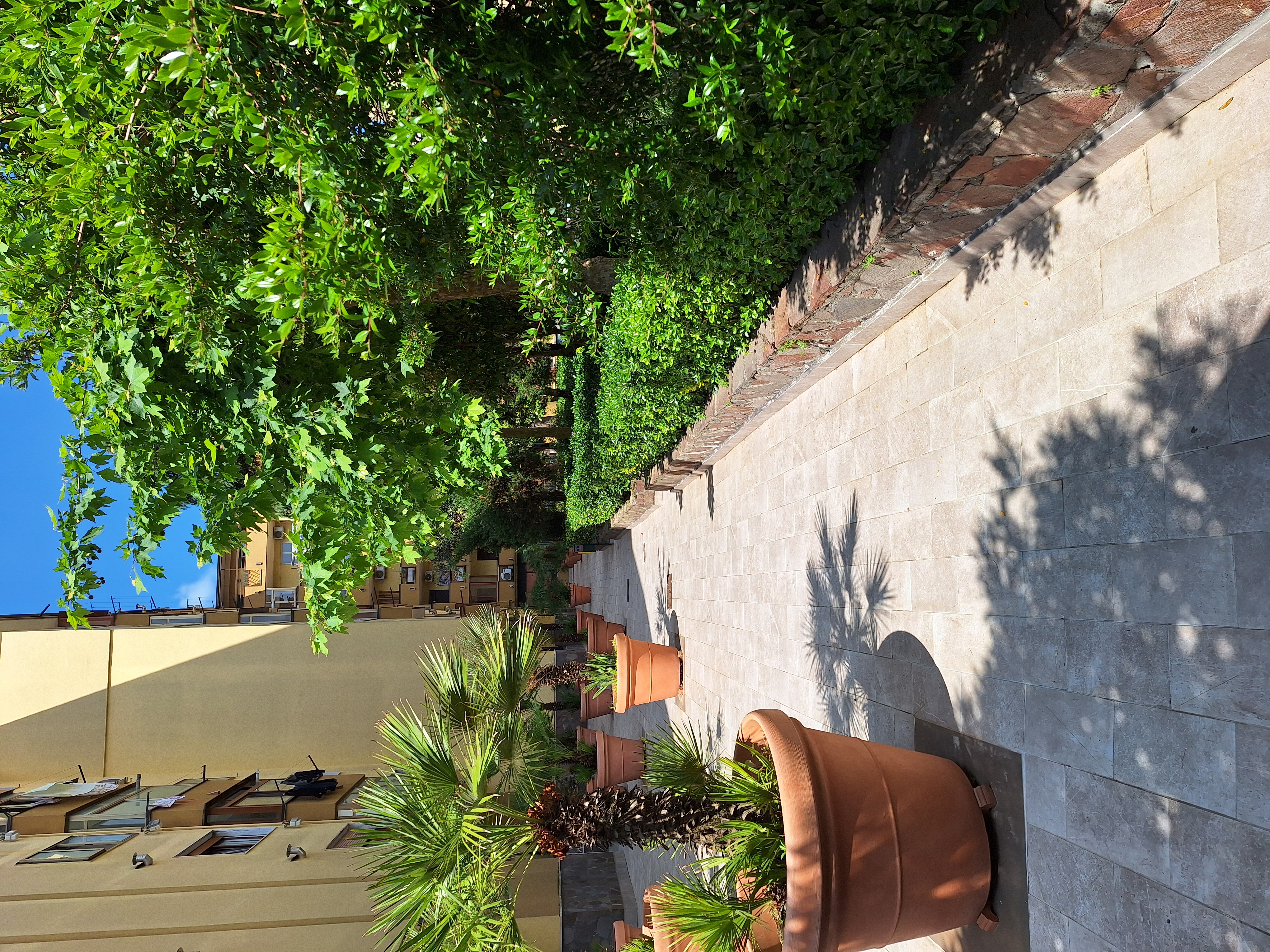Giardini